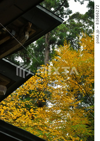 熊野大社 東北の伊勢 日本三熊野 熊野大社 東北の伊勢 日本三熊野 83666272