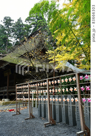 熊野大社 東北の伊勢 日本三熊野 熊野大社 東北の伊勢 日本三熊野 83666303