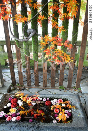 熊野大社 東北の伊勢 日本三熊野 熊野大社 東北の伊勢 日本三熊野 83666330