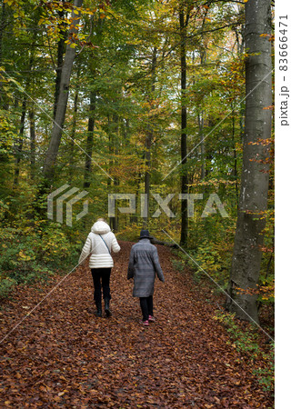 Portrait on back view of women walking in the autumnal forest 83666471