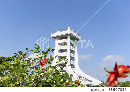 千葉県　蓮沼海浜公園　展望塔とデイゴの花 83667035