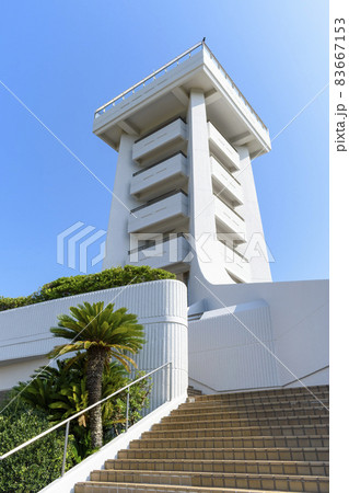千葉県 蓮沼海浜公園 展望塔とヤシの木 千葉県 蓮沼海浜公園 展望塔とヤシの木 83667153