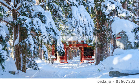 戸隠神社・奥社(冬) 戸隠神社・奥社(冬) 83667532