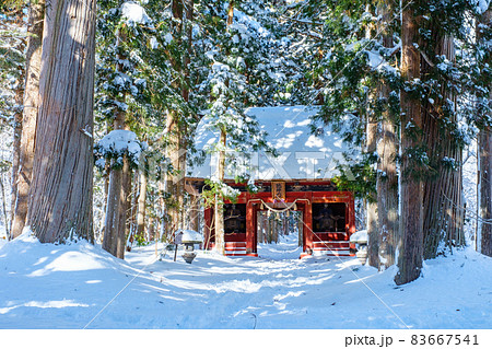 戸隠神社・奥社(冬) 戸隠神社・奥社(冬) 83667541