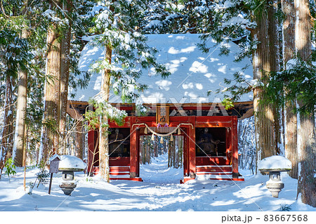 戸隠神社・奥社(冬) 戸隠神社・奥社(冬) 83667568