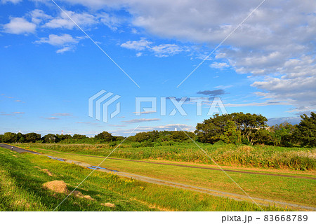 平塚相模川河川敷の公園の景色 平塚相模川河川敷の公園の景色 83668789