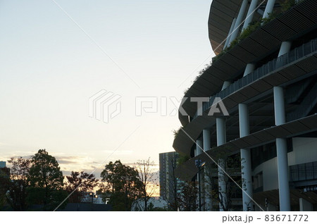 秋、⒒月。今日は暖かくて、一足先く銀杏を見に行って来ようと神宮外苑へ。　日を浴びて木々が輝いています 83671772