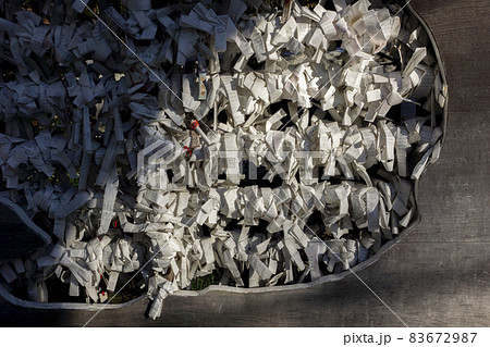 結ばれたお御籤・文京区・牛天神 83672987