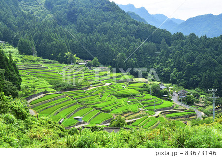 三河の里山・鞍掛山のふもとに広がる日本の原風景、四谷の千枚田 三河の里山・鞍掛山のふもとに広がる日本の原風景、四谷の千枚田 83673146