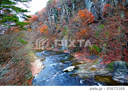 【群馬】秋の吹割渓谷　橋から見下ろす清流と紅葉 83673168