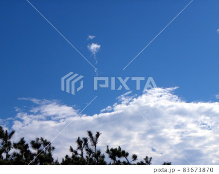 稲毛海岸での青空と白い雲 稲毛海岸での青空と白い雲 83673870