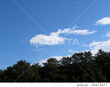 稲毛海岸での青空と白い雲 稲毛海岸での青空と白い雲 83673872
