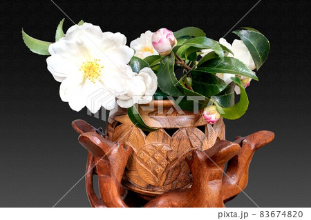 花瓶に生けたサザンカの白い花 83674820