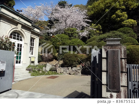 松山坂の上の雲ミュージアムの桜 83675511