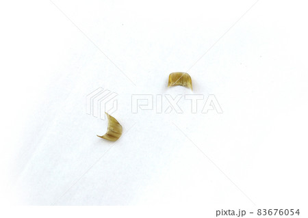 Dirty clipped nails of a man on a white background Dirty clipped nails of a man on a white background 83676054