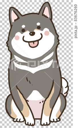 お座り黒柴フルカラーのイラスト素材