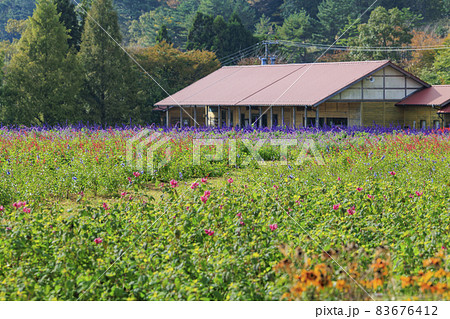 メナード青山リゾート　秋の花々が咲くハーブ園 83676412