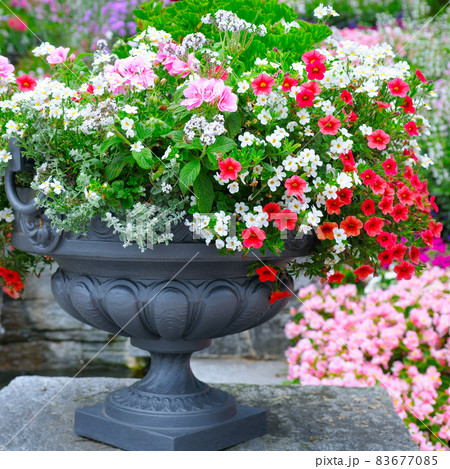 Beautiful flower arrangement in a metal vase in a summer park. Beautiful flower arrangement in a metal vase in a summer park. 83677085