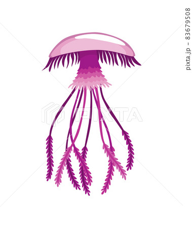 Jellyfish. Sea wildlife or ocean fauna concept. Aquatic underwater or undersea animal. Creative medusa flat icon for web design. Colorful swimming marine creature Jellyfish. Sea wildlife or ocean fauna concept. Aquatic underwater or undersea animal. Creative medusa flat icon for web design. Colorful swimming marine creature 83679508