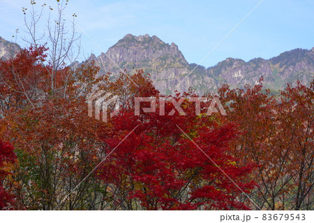 紅葉した奥飛騨温泉郷の鍋平高原から見た錫杖岳 紅葉した奥飛騨温泉郷の鍋平高原から見た錫杖岳 83679543