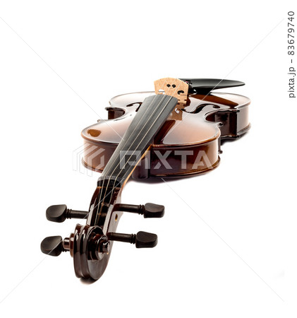 Violin on a white background with pegs to the camera. 83679740