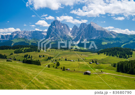 Seiser Alm Plateau in summertime 83680790