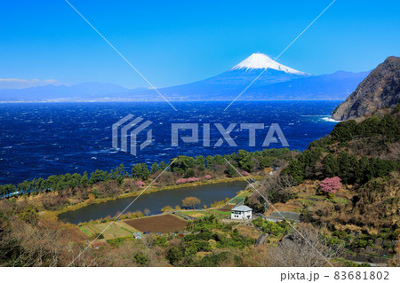 春の井田峠(煌めきの丘)より望む駿河湾と富士山の眺望 春の井田峠(煌めきの丘)より望む駿河湾と富士山の眺望 83681802