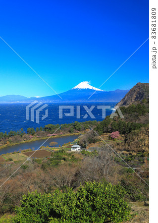 春の井田峠(煌めきの丘)より望む駿河湾と富士山の眺望 春の井田峠(煌めきの丘)より望む駿河湾と富士山の眺望 83681809