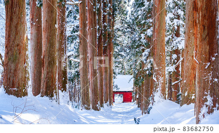 戸隠神社・奥社（冬） 83682750