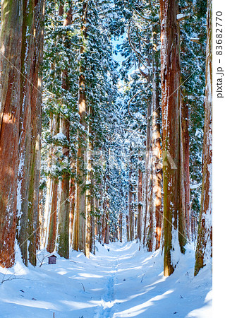 戸隠神社・奥社(冬) 戸隠神社・奥社(冬) 83682770