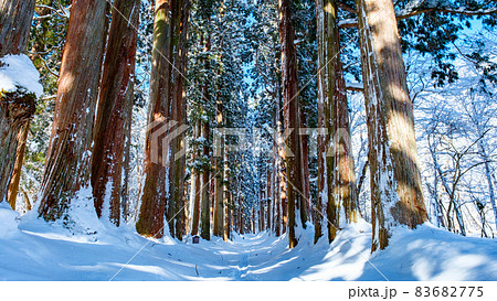 戸隠神社・奥社（冬） 83682775