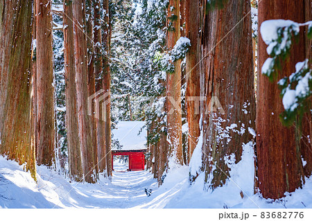 戸隠神社・奥社(冬) 戸隠神社・奥社(冬) 83682776