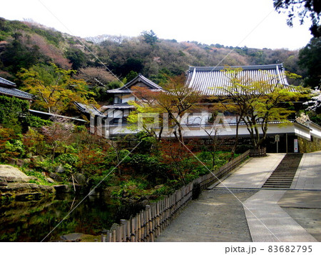 北鎌倉 円覚寺 妙香池 83682795