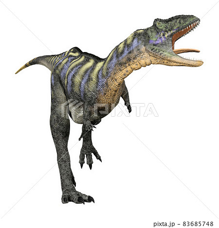 アウカサウルス☆Aucasaurus 83685748