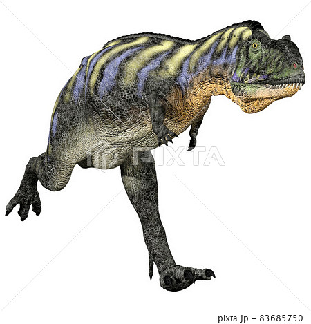 アウカサウルス☆Aucasaurus 83685750