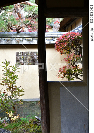 春雨庵 沢庵和尚 春雨庵 沢庵和尚 83685931