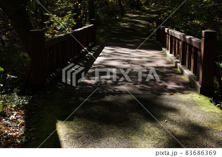 四季の散歩　秋　たじま高原植物園 83686369