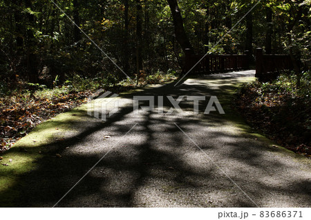 四季の散歩　秋　たじま高原植物園 83686371