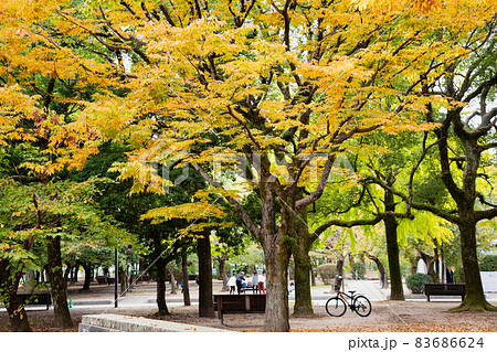 休日の公園風景です。家族連れや読書をする人等が見えます。平和な雰囲気にどうぞ。 83686624