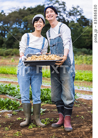 畑で野菜を収穫する男女 83686830