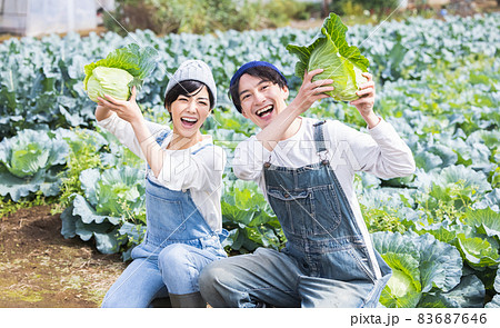 畑で野菜を収穫する男女 83687646