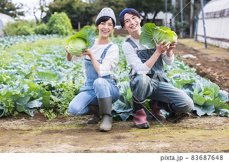 畑で野菜を収穫する男女 83687648