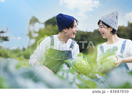 畑で野菜を収穫する男女 83687650