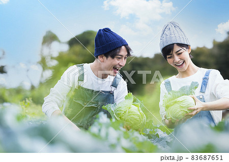 畑で野菜を収穫する男女 83687651