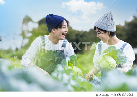 畑で野菜を収穫する男女 畑で野菜を収穫する男女 83687652