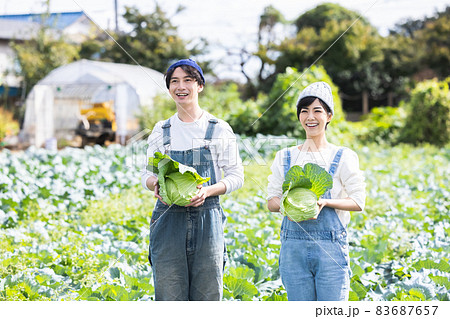 畑で野菜を収穫する男女 83687657