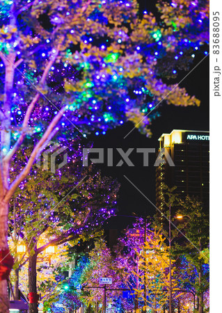 【大阪】イチョウと御堂筋のイルミネーション 83688095