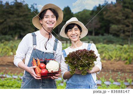 畑で野菜を収穫する男女 83688147