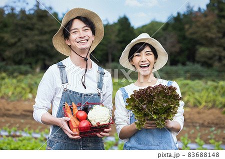畑で野菜を収穫する男女 83688148