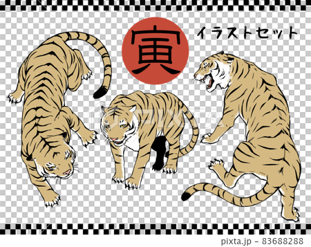 Tora 的插圖 set_color Tora 的插圖 set_color 83688288